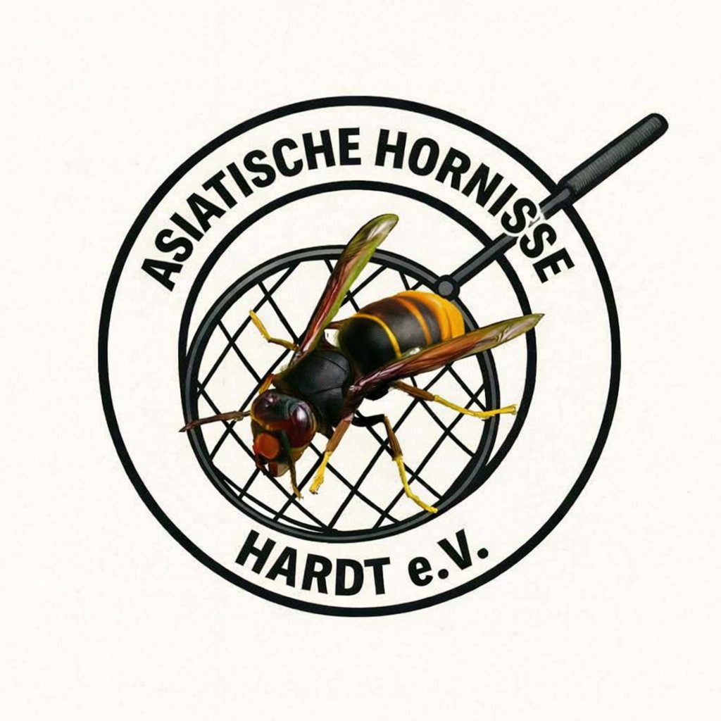 Asiatische Hornisse Hardt e.V. Logo